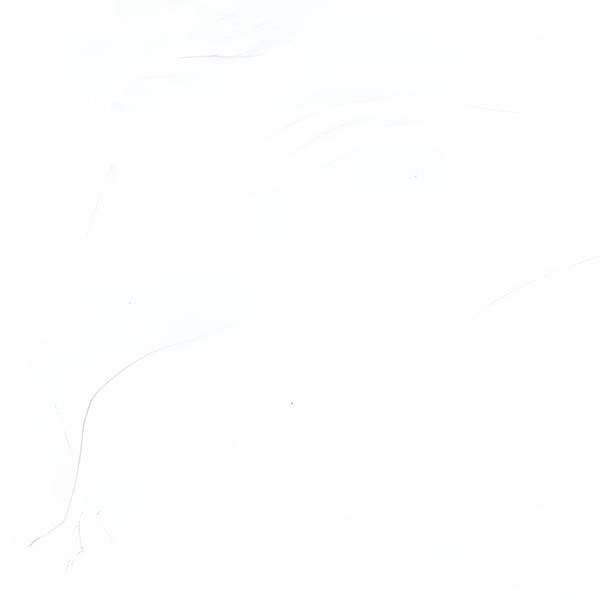 LOTTE STARON VA311 アークティックホワイト
