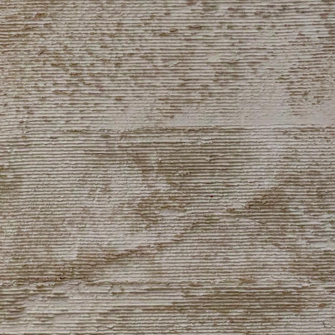 Colorificio Veneziano Calce TR PH-88-1(T)