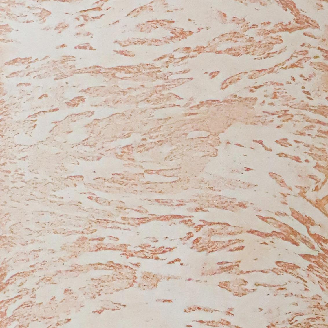 BeriCalce Travertino PH-19 漆喰(ライムプラスター)