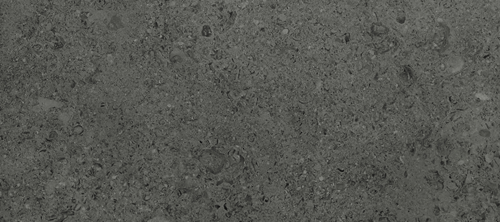 CASAROMA Shellstone Dark