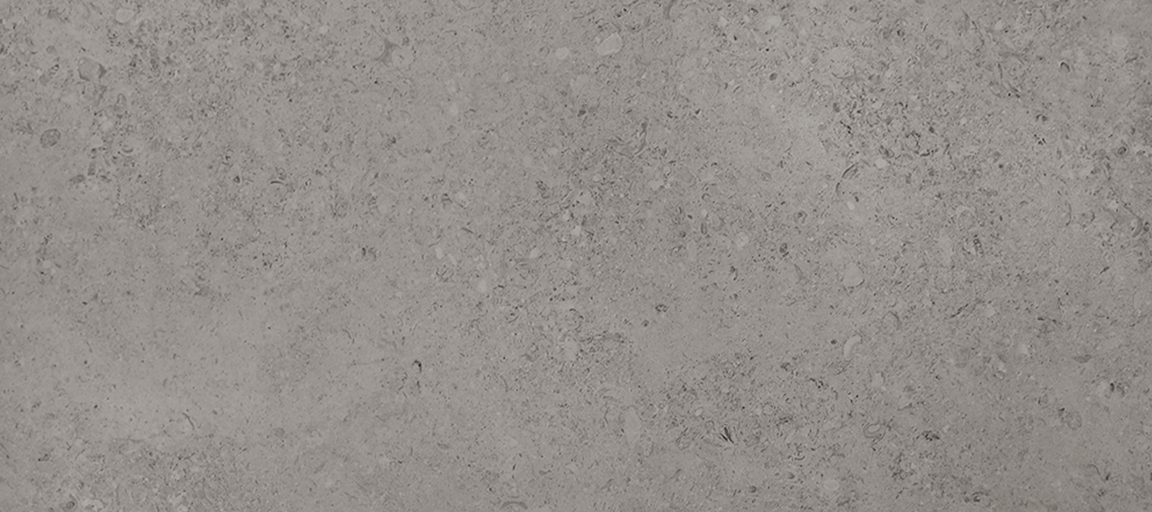 CASAROMA Shellstone Grey