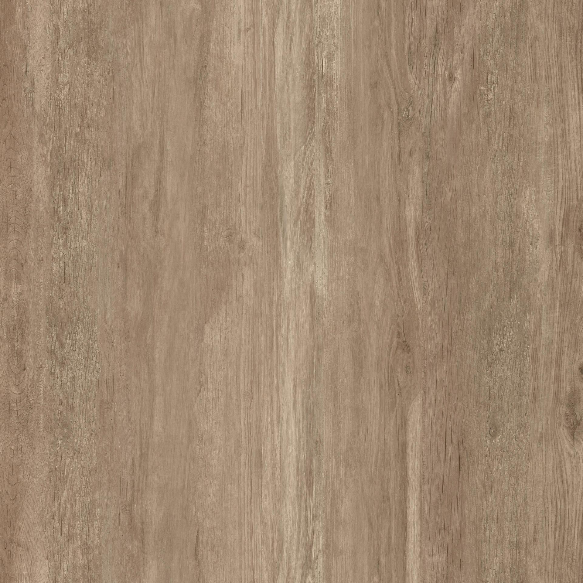 ミゴン TIMBER 12T