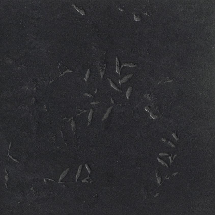 MUTINA CHYMIA_IMPRONA.B