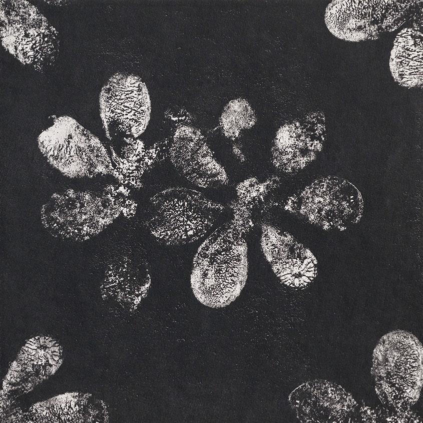 MUTINA CHYMIA_OPHELIA.B