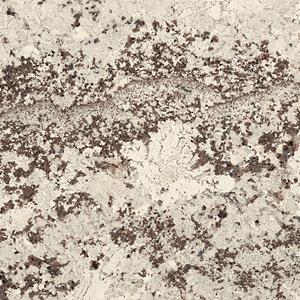 FIANDRE MARBLE LAB_ALASKA WHITE HONED