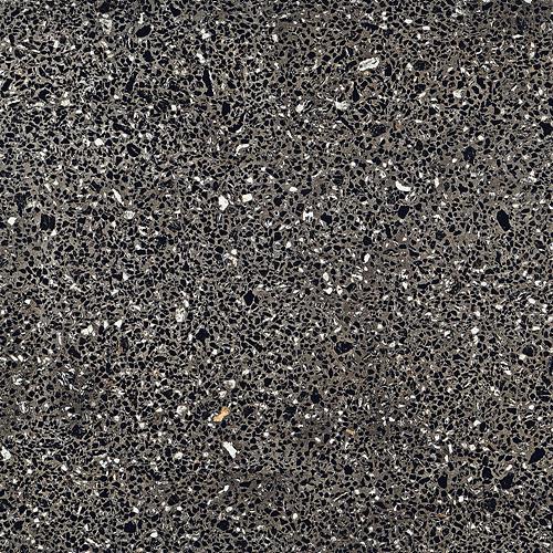 COEM PORFIRICA AGLO BLACK