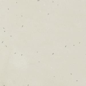 MUTINA PRIMAVERA_BIANCO