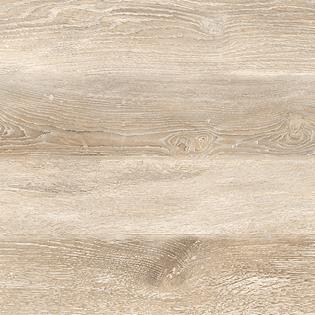 EDIMAX ASTOR SHIZEN_MIELE