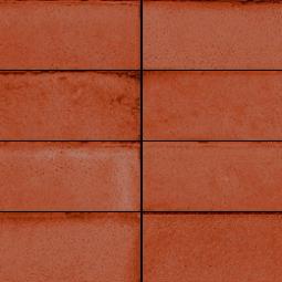 SANTAGOSTINO TETRIS_CORAL LUC