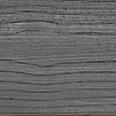 SERENISSIMA TULIP TUNGSTEN