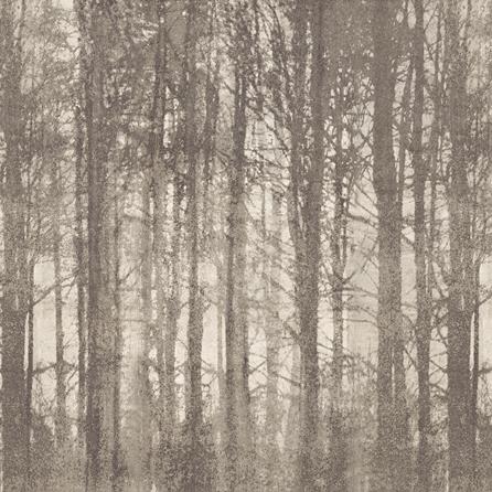 FAP YLICO_WOOD FOG