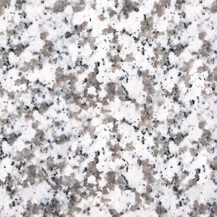 TIGER STONE 大白華