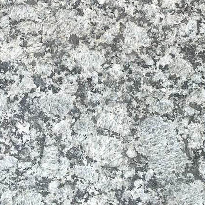 TIGER STONE バタフライホワイト