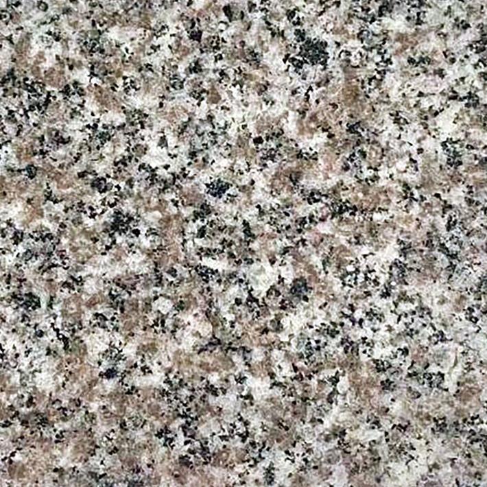 TIGER STONE 新野ウォンホン