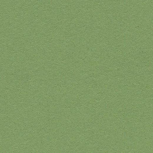 forbo 2213 baby lettuce