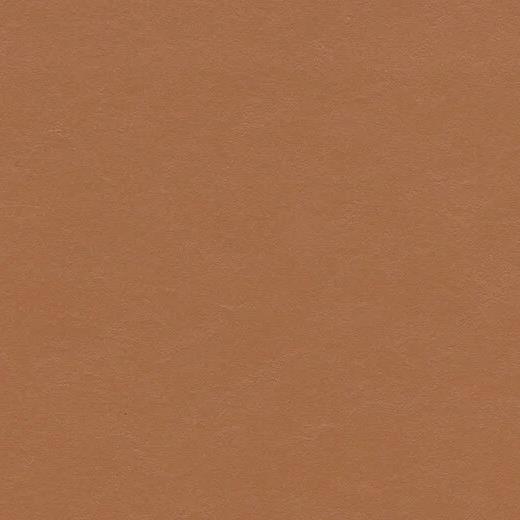 forbo 3370 terracotta 長尺シート