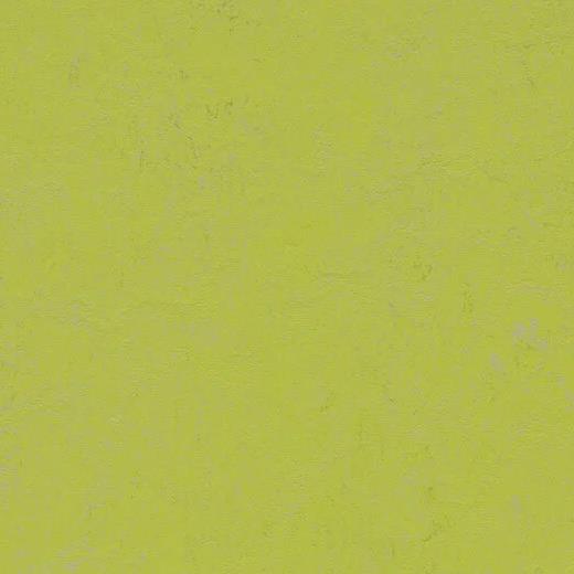 forbo 3742 green glow 長尺シート