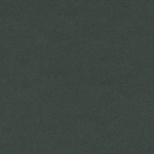 forbo 4174 conifer