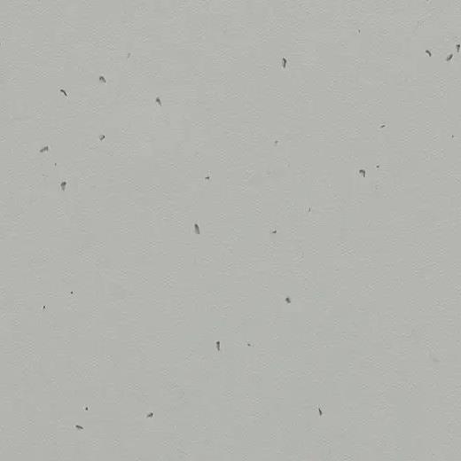 forbo 50202 concrete