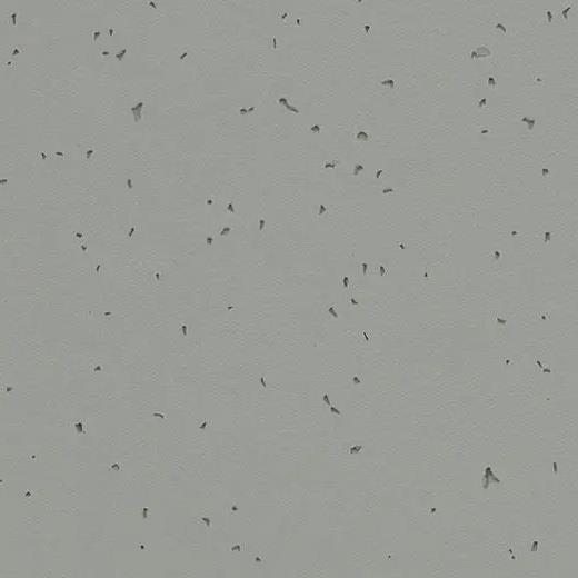 forbo 50216 pigeon