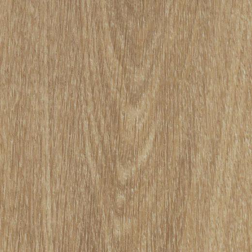forbo 60284FL5 natural giant oak
