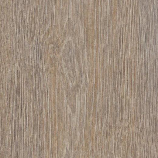 forbo 60293FL5 steamed oak