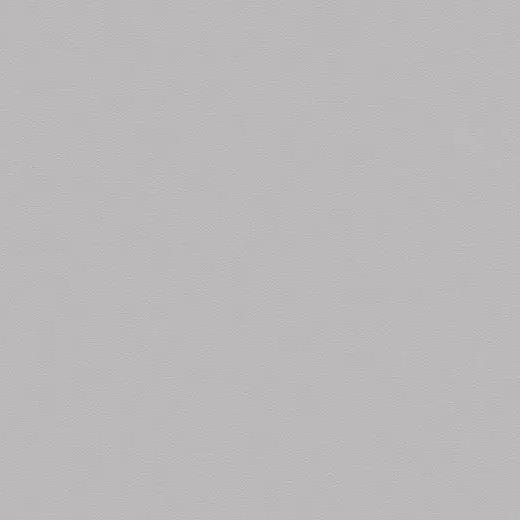 forbo 861UP4319 light grey uni