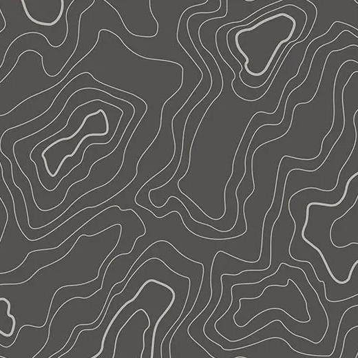 forbo 919UP4319 grey topography