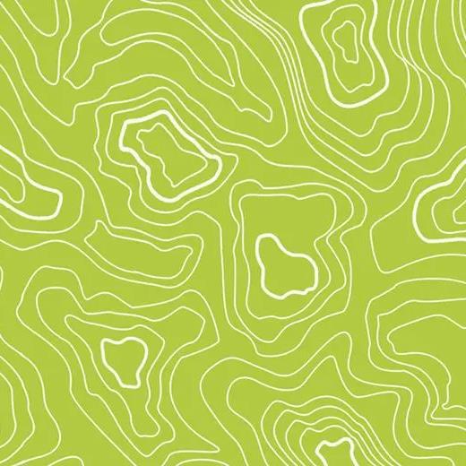 forbo 928UP4319 lime topography