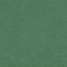 イウムデコ GREEN