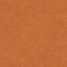 イウムデコ ORANGE カラーボード