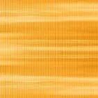 Danpal ORANGE_Colorful ダンパル