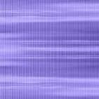 Danpal PURPLE_Colorful