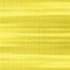 Danpal YELLOW_Colorful ダンパル