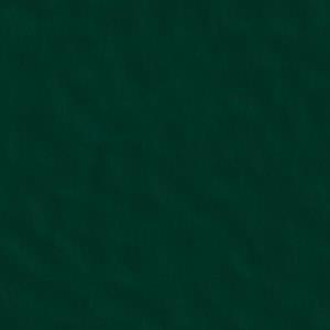 NORA hammered 5343 Evergreen