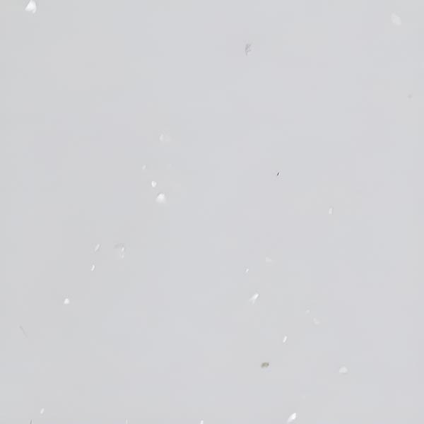 KCC 4127 プリマホワイトパール