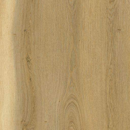 NOX FLOR NOW-3062 European Oak