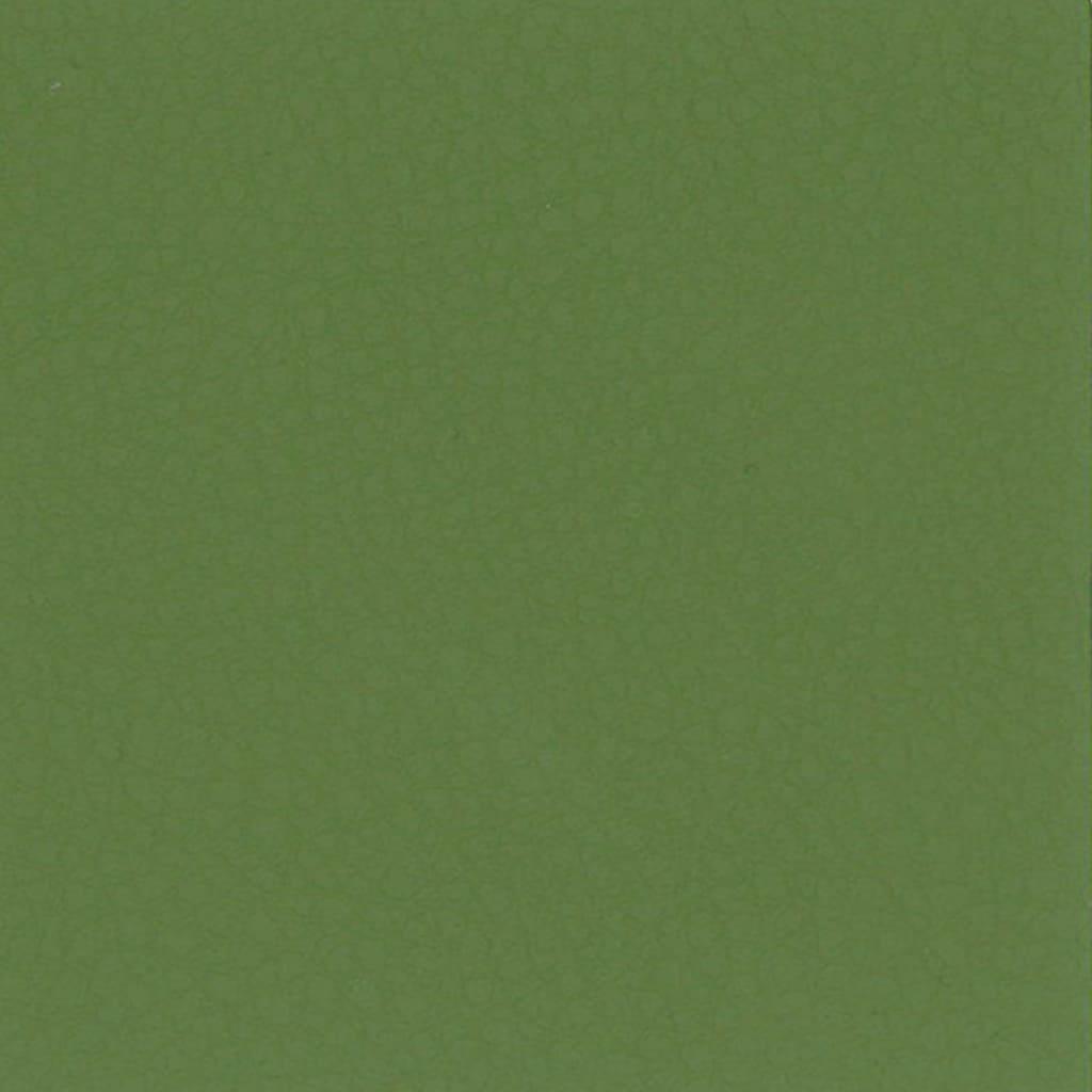 テグン通商 4029 kiwi green