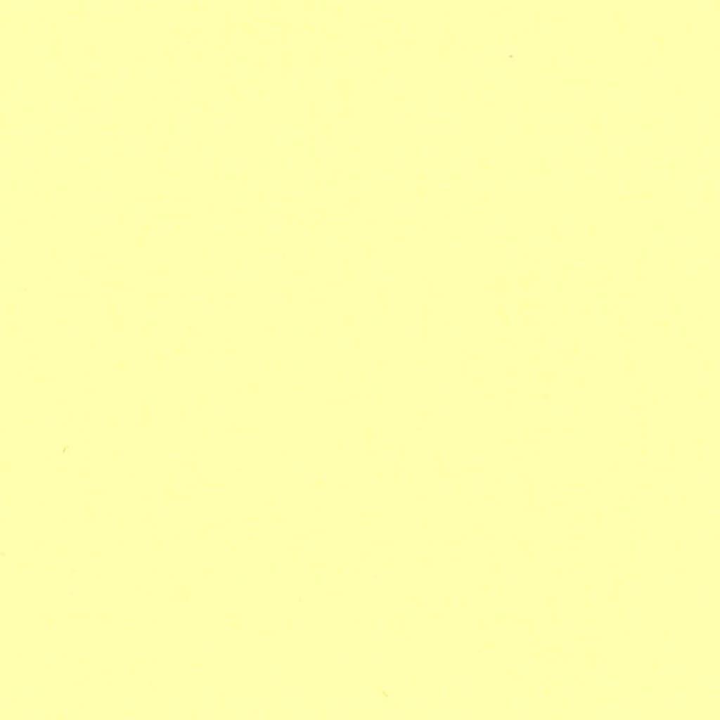 テグン通商 4054 pineapple