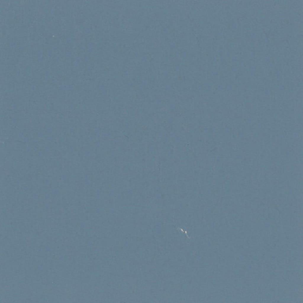 テグン通商 4067 sky blue