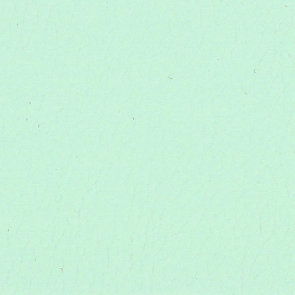 テグン通商 4118 brt. mint