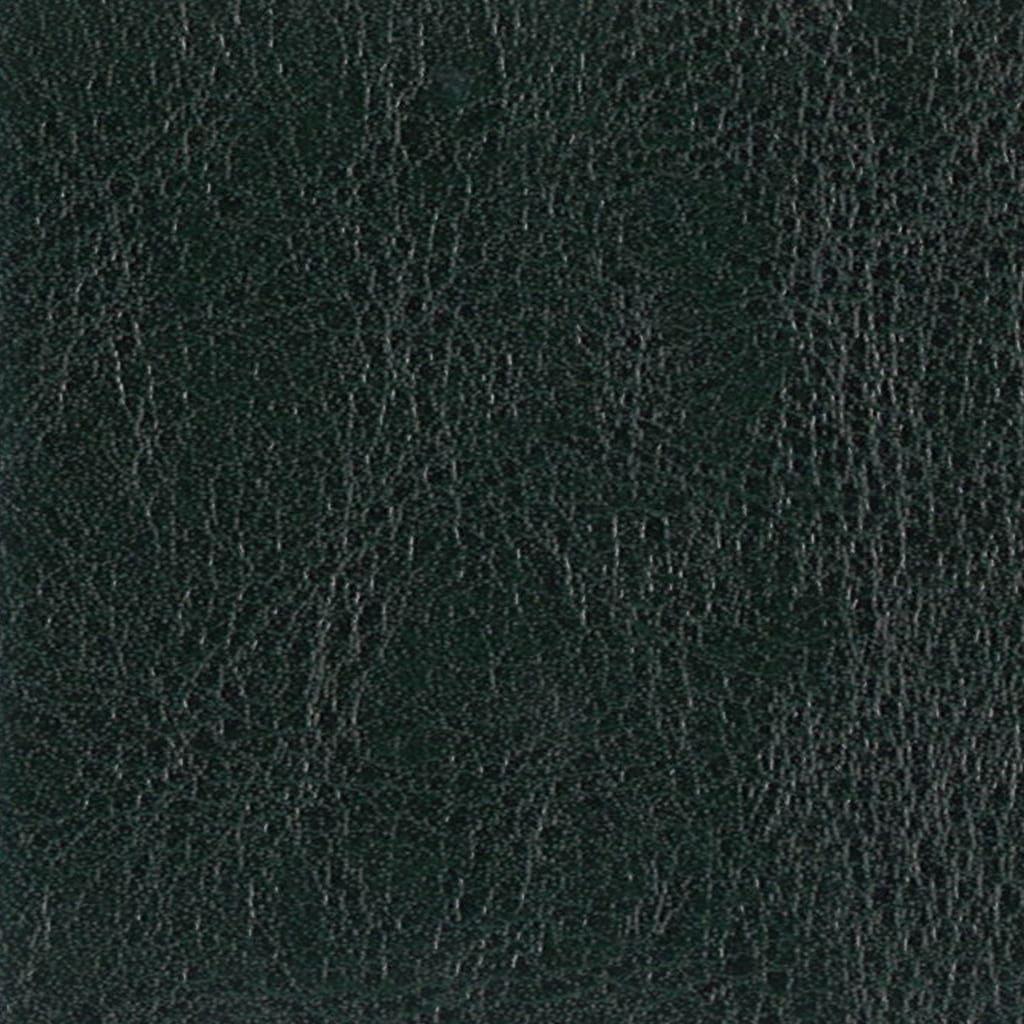 テグン通商 4142 roma green