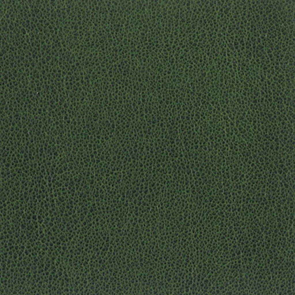 テグン通商 4159 ever green ポリウレタン
