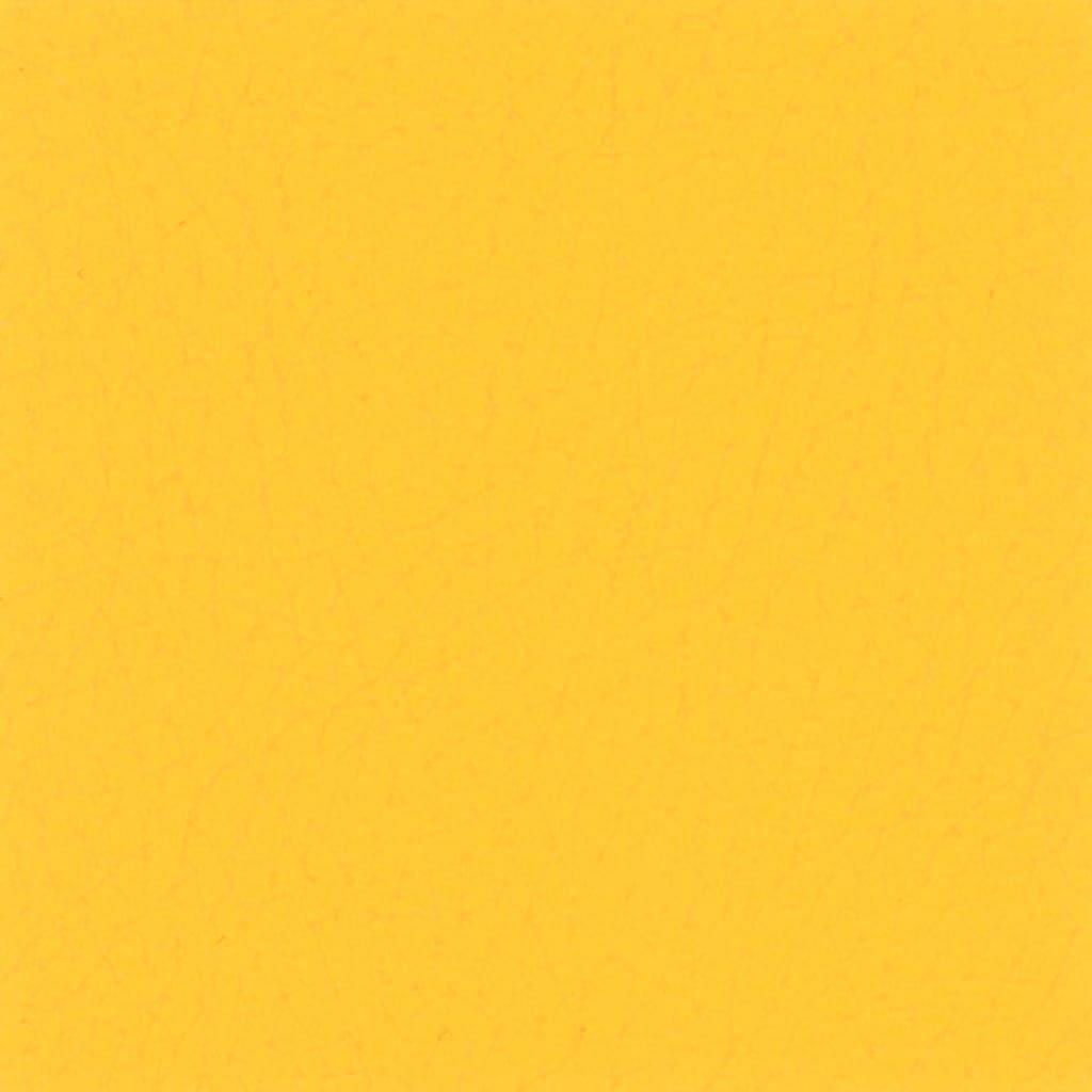 テグン通商 4244 sunny yellow