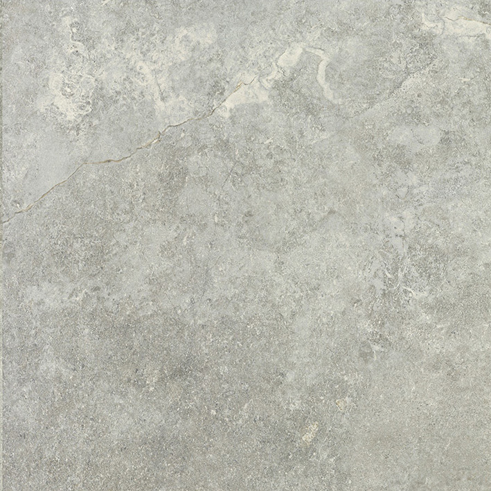 カオン商材 CARDOSO GRIS