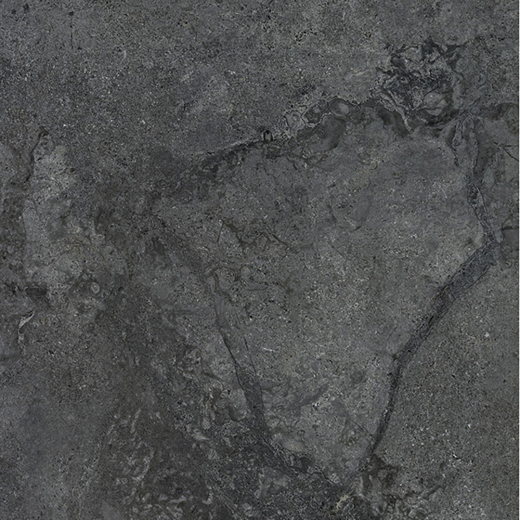 カオン商材 CARDOSO NERO
