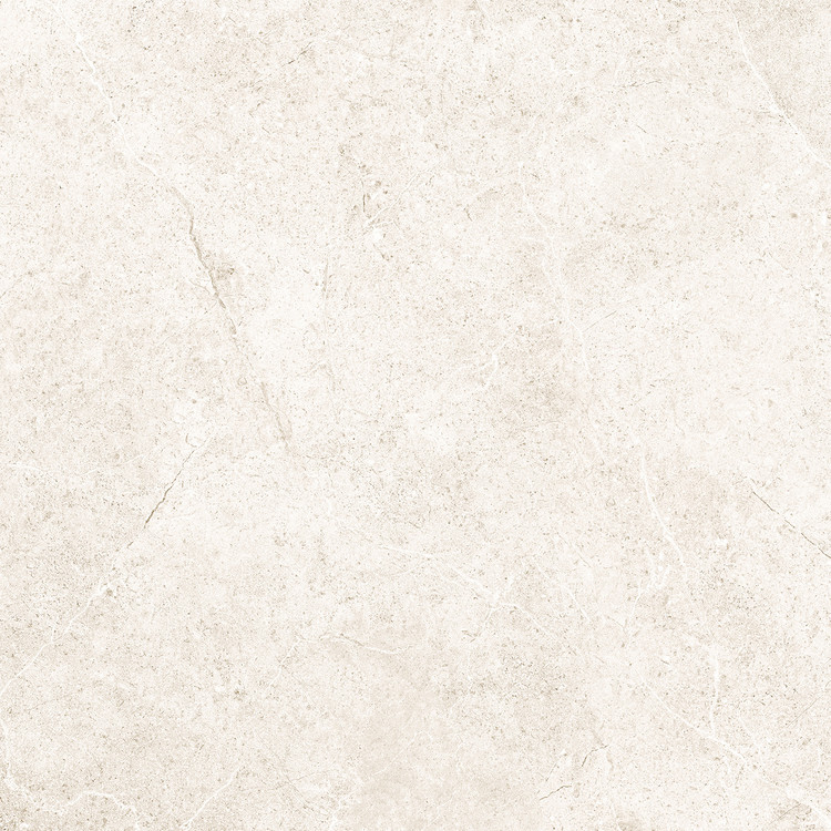 カオン商材 ENZO IVORY66