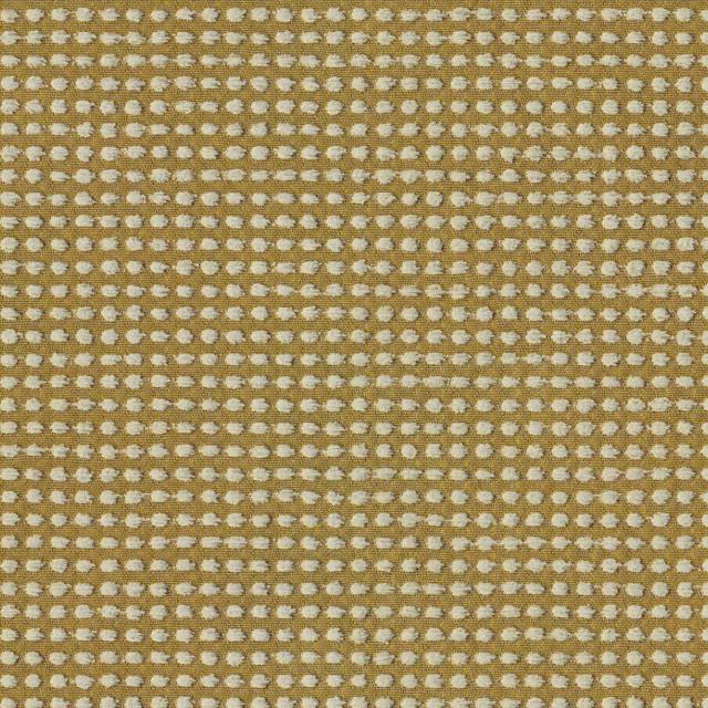 Designtex 3004-501 Avocado ポリエステル