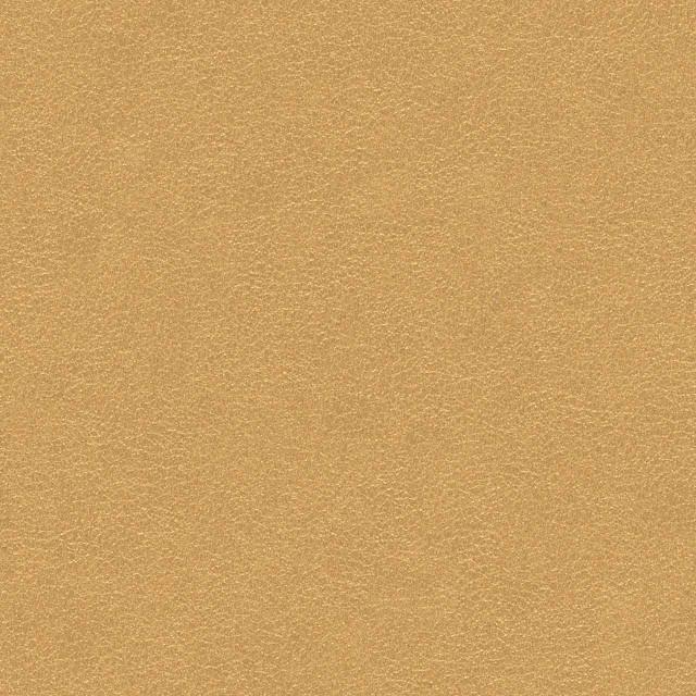 Designtex 3006-201 Plantain ポリウレタン
