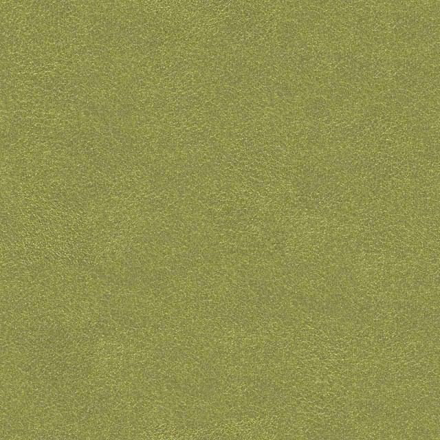Designtex 3006-501 Verdant